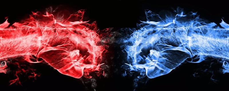 AMD CPU sales surpass Intel CPU sales at the EU retailer Mindfactory