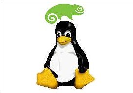 Microsoft Moves To Accommodate Suse Linux