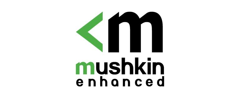 Mushkin to release a $500 4TB SSD