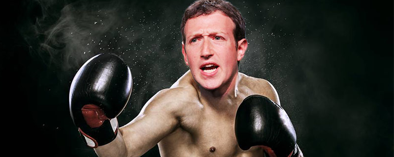 Elon Musk and Mark Zuckerberg have agreed to tech billionaire cage fight