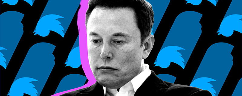 Twitter users urge Musk to step down in official poll